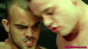 muscular british bodybuilder takes hardcore queer anal pounding cumshot
