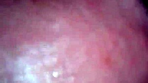 girlfriend gives close-up homemade blowjob to friend