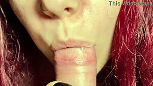 closeup of amateur couple's intense homemade blowjob and dick sucking action