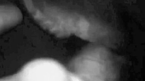 what secrets do vintage lesbians hide in their hairy beavers?