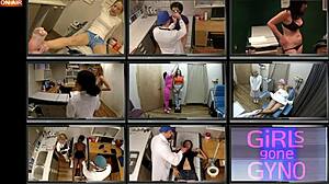 Tampa University Entrance Exam Turns Wild with Angel Oaks!