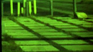 bound teen pussy creampie unless you're from the sixties and delve?