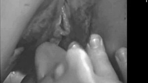 what secrets do vintage lesbians hide in their hairy beavers?