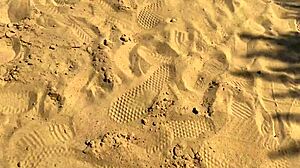 Tiny Latina Pickup Foot Fetish Doggystyle Barefoot Toes Fuck