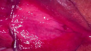 close view of amateur wife's shaved pink pussy 275 days post virginity loss