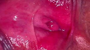 close view of amateur wife's shaved pink pussy 275 days post virginity loss