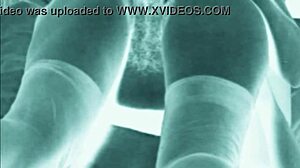 vintage erotic drawings feature hairy beavers in retro style