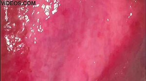 close view of amateur wife's shaved pink pussy 275 days post virginity loss