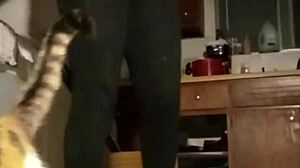 workout grooves to killer beats.