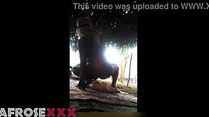 who rides dildo publicly outdoors with lesbian friend!?