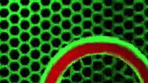 mugur rams bbc deep into asian milf maxine x's hungarian holes in budapest doggystyle cowgirl blowjob frenzy