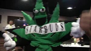 Denver exxxotica pornstars shake asses outdoors exclusive!