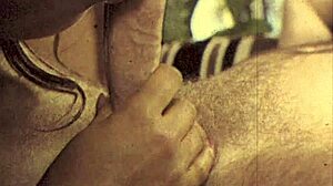 dark lantern entertainment unveils dragonfly freddie's hairy beaver blowjob