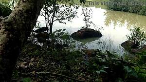 peeing stepmom meets stranger for surprise forest doggy fuck