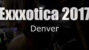 Denver exxxotica pornstars shake asses outdoors exclusive!