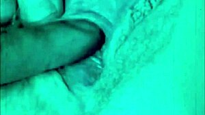 dark lantern entertainment unveils dragonfly freddie's hairy beaver blowjob