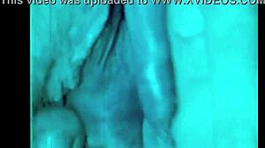 dark lantern entertainment unveils dragonfly freddie's hairy beaver blowjob