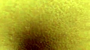 peeing stepmom meets stranger for surprise forest doggy fuck