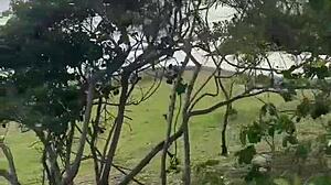 Vi uma loira tatuada na praia amadora e pidi pra ela chupar meu pau cobrou dez reais ali mesmo