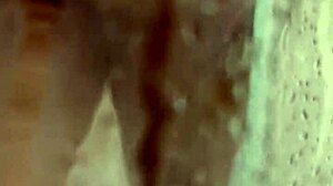 Amirah Adara And Anastasia Lux Soak Naked Latina Milf Bodies In Steamy Shower Bathing Scene With Ass Tease