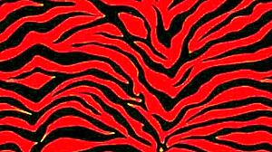 fuck my petite ebony nympho body until i scream naked