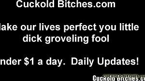 i fuck complete strangers before i ever fuck you cuck.