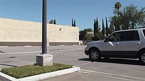 darien ross trapped in wild interracial cougar chase