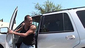 darien ross trapped in wild interracial cougar chase