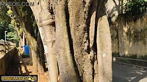 farmhand deflowers farm boss's virgin daughter in the wild woods