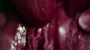 Vintage pregnant lesbians uncover hairy pussy secrets from a 19th century english gentleman's diary in antique lantern light