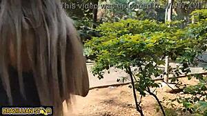 farmhand deflowers farm boss's virgin daughter in the wild woods