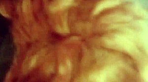 bad boy pounds big tits stepmum's fat ass in bedroom moaning