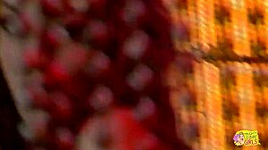 vintage blonde strips then licks brunette pussy... oops