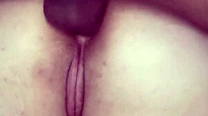 big ass latina screams from intense monster cock anal 