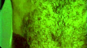 domonique simone gangbanged by randy west and crew mid-poker game