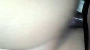 Can BBC stretch her fat latina ass guts deep?