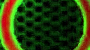 richelle ryan milf lesbian licks big pussy tits orgasms in lingerie