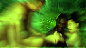 mature swingers feel totally free arriving at swing house for group oral action