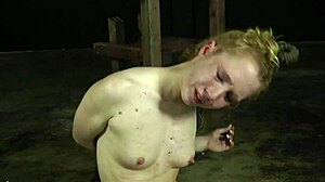 im doin lusty collaring on this pleasant hottie its so naughy i love it