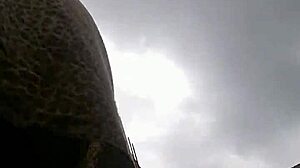 Peeking Up My Mother-In-Laws Skirt Reveals Her Naughty Secrets