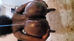 curvy ebony big ass shakes on oiled monster black cock