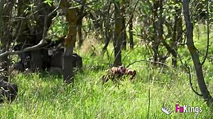 Hey briseida myers the swamp got you horny for outdoor nudist quickie fuck