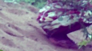 desi lady spreads wide unleashing her warm piss stream teasingly