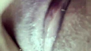 Beautiful Mexican Latina Heated by All Sent Cocks