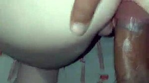 branquinha screams on rosinhapintoloko110's fat cock as her tight pussy stretches wide