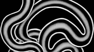 ever wondered about the forbidden zone's full interracial retro movie?