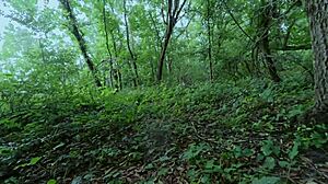 kally xo shakes big ass in prison roleplay quickie