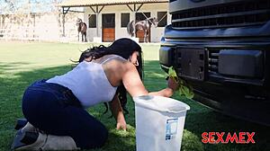 my boss milf elizabeth marquez sucks me off outdoors so good