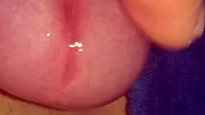 Glande Baboso Throbs Hard Thinking Of Your Tight Holes!