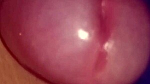 Glande Baboso Throbs Hard Thinking Of Your Tight Holes!